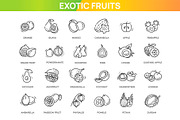 Fruits, Exotic Fruits icons, a Food Illustration by Tettygreen (Thumbnail 1 of 3)