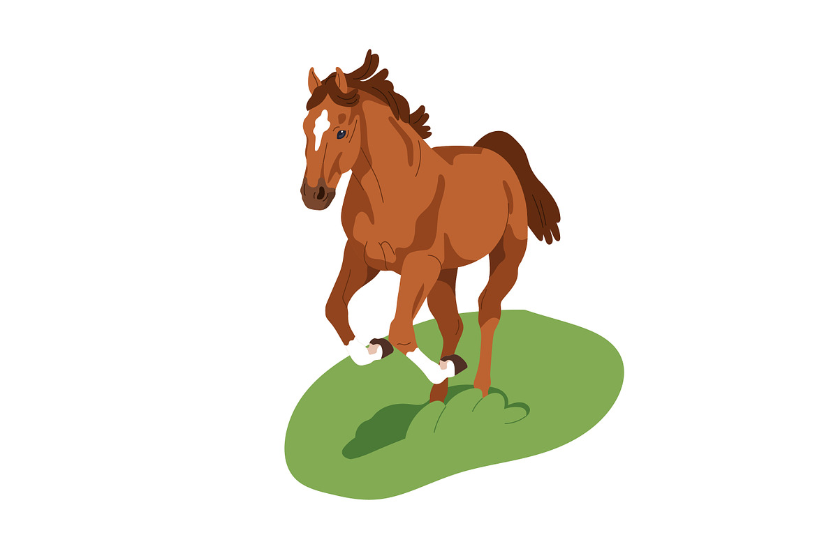 Horses, equine animals running set, an Animal Illustration by Good Studio (Photo 4 of 13)