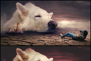 7000+ Professional Lightroom Presets, a Layer Style Add-On by Eldamar Studio (Thumbnail 23 of 33)