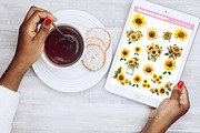 Sunflower Goodnotes stickers set, an Illustration by Illustrator Space (Thumbnail 7 of 8)