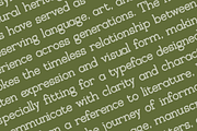 Typetopia Eroded Serif Typeface, a Handwritten Font by alpercakici (Thumbnail 4 of 17)