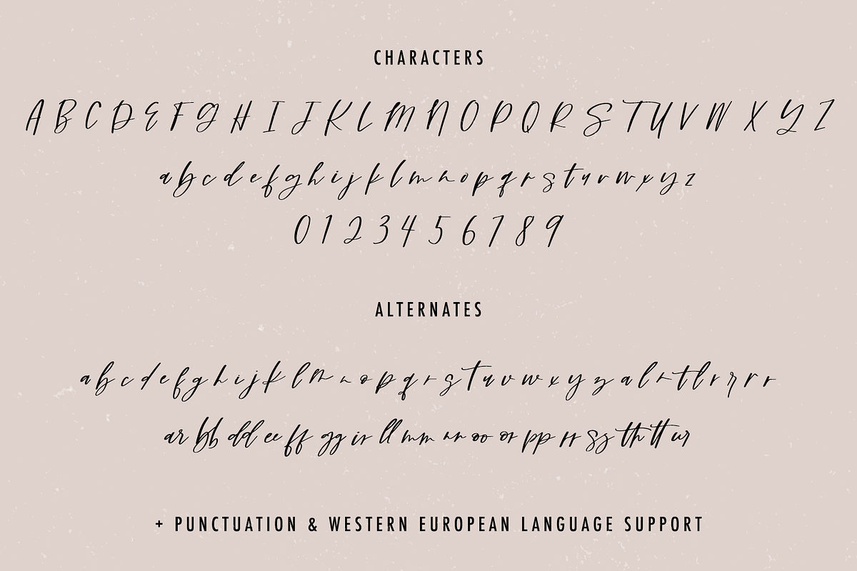 Dynamite Script Font, a Handwritten Font by Beck McCormick (Photo 10 of 10)