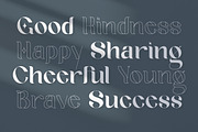 Geyster Modern/Vintage Font, a Serif Font by Lettertype Studio (Thumbnail 4 of 10)