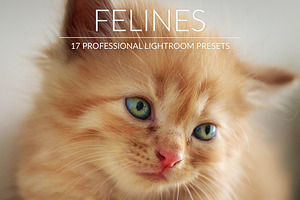 Felines Lr Presets