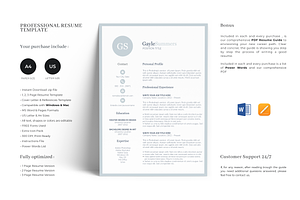 Creative And Professional Resume