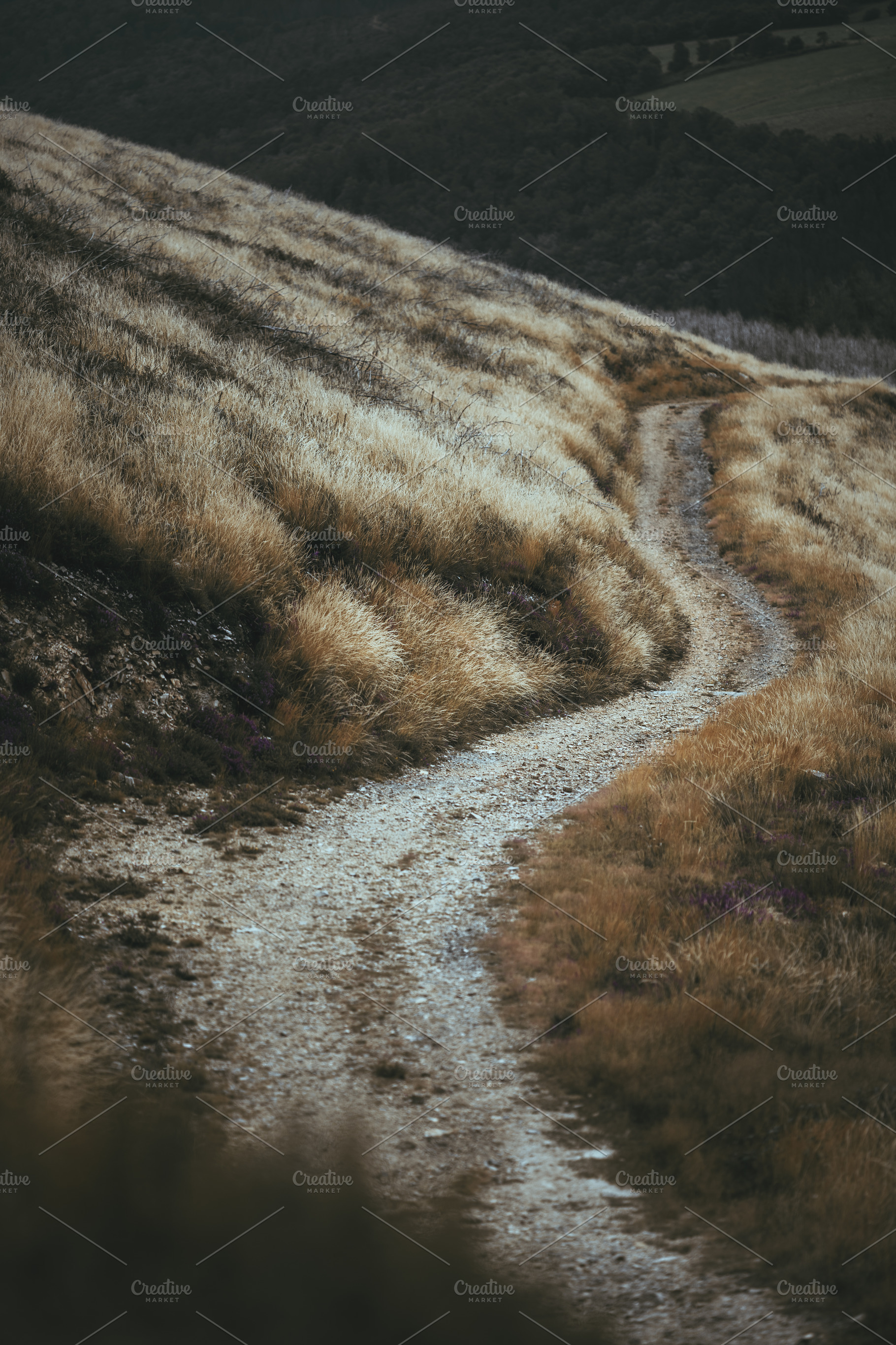 Winding trail on Camino de Santiago, a Wallpaper Photo by SkyNext