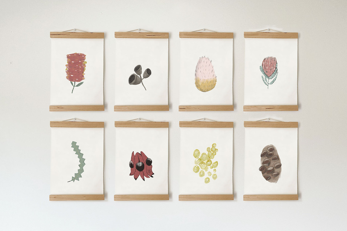 Australian Garden Florals Collection, an Illustration by sarahnalder (Photo 5 of 7)