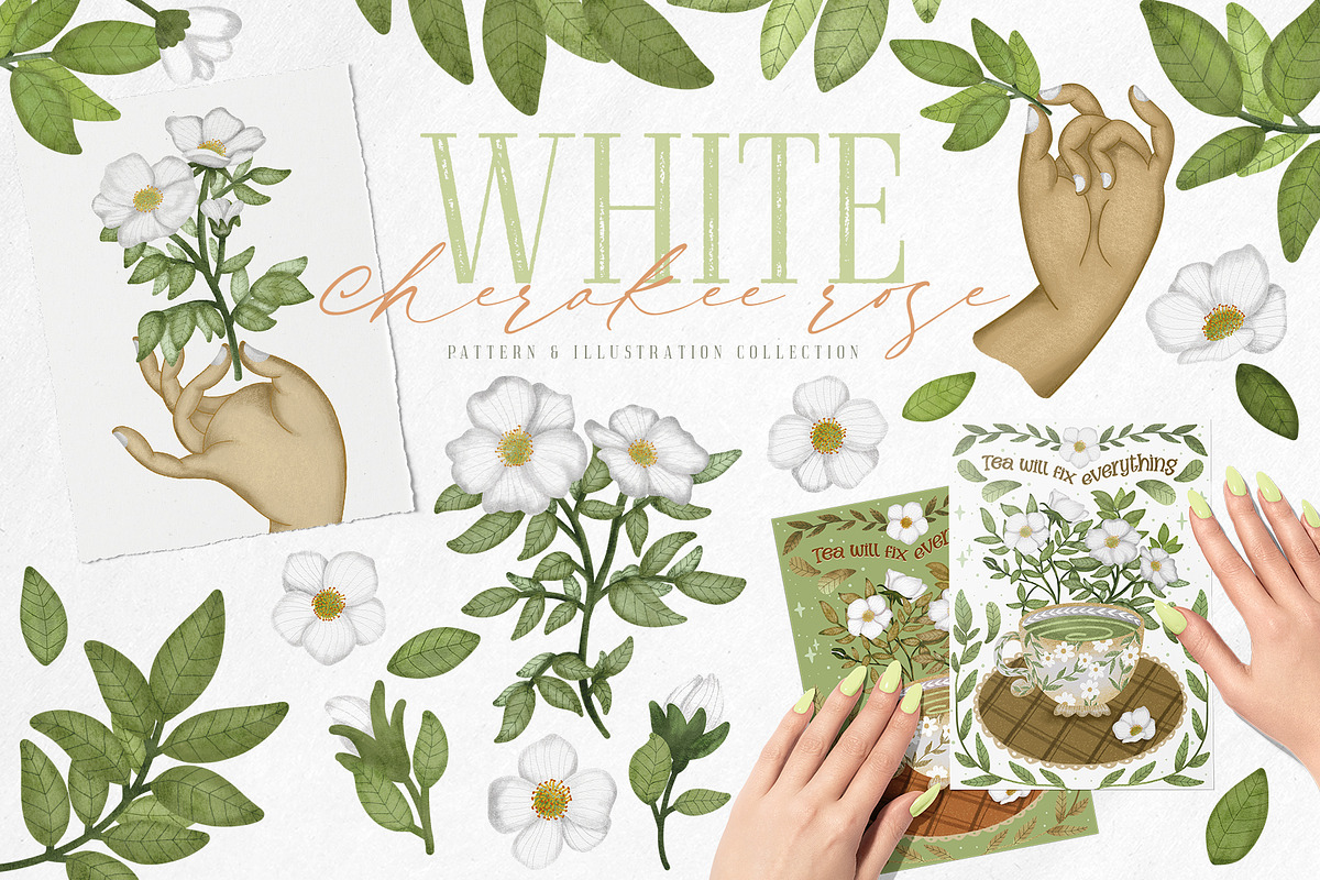 Cherokee rose clipart pattern set, a Decorative Illustration by Yelloo Fish (Photo 1 of 21)