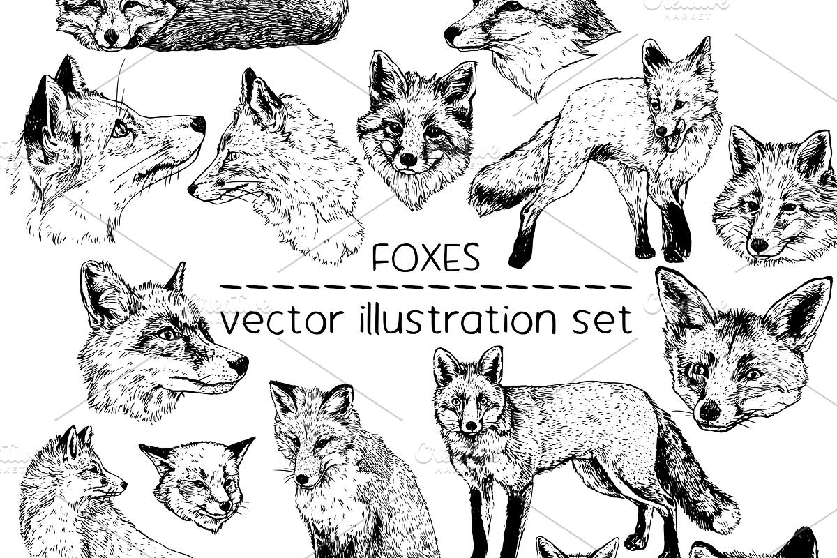 Foxes - vector illustration set, an Animal Illustration by Renée from Studio neetje (Photo 1 of 4)