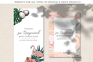 Tropical Clip Art & Digital Papers