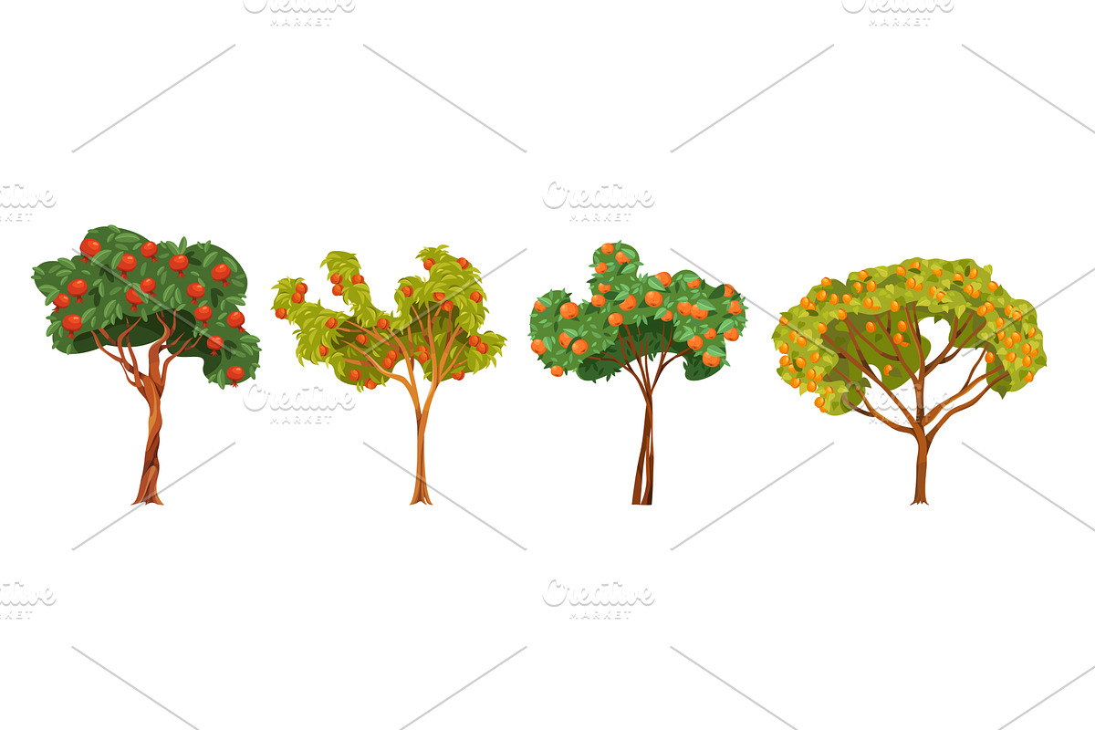 Vector fruit tree set. Garden nature, an Object Illustration by Elegant Solution