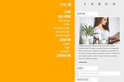 Modern Fluid WordPress Blog Theme, a WordPress Template by Amped Themes (Thumbnail 4 of 4)