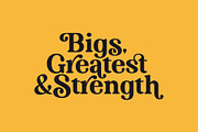 Braveold Font Family, a Serif Font by trustha (Thumbnail 4 of 11)