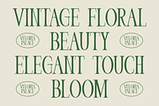 Veloria Palace Classic Serif Font, a Font by PutraCetol Studio (Thumbnail 3 of 6)