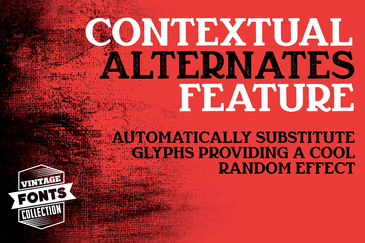 Rewizor - 2 vintage fonts, a Serif Font by Leitmotif (Photo 3 of 5)