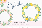 Citrus Watercolor Clipart, an Illustration by Emerald & Ivy Studios (Thumbnail 4 of 4)