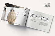 Swily Bright | Classy Font, a Serif Font by Jolicia Type (Thumbnail 11 of 11)