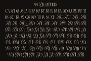 La Primera Ligature Serif, a Serif Font by Letteralle Studios (Thumbnail 12 of 13)