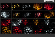Romantic Bokeh Photo Overlays preview 5