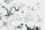 The Season After Fall - Graphic Set, an Object Graphic by studioequinox (Thumbnail 2 of 12)