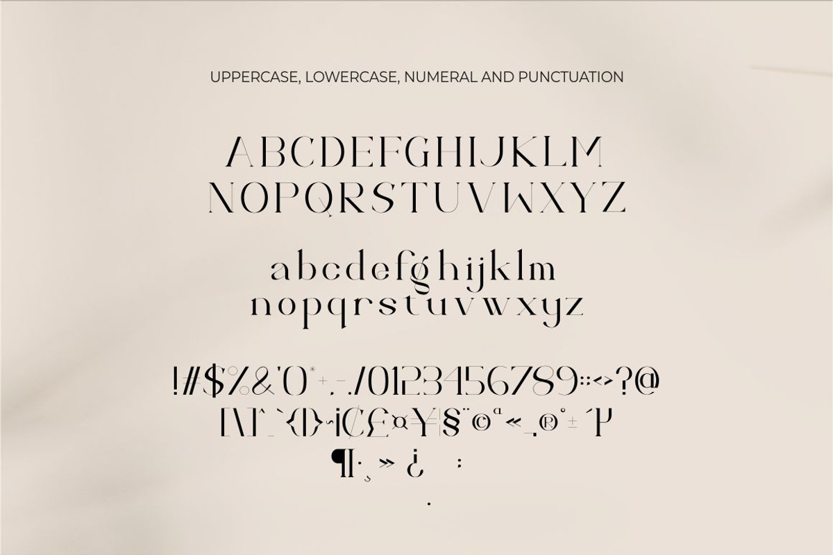 Calina serif classy font, a Serif Font by suhadidesign (Photo 14 of 18)