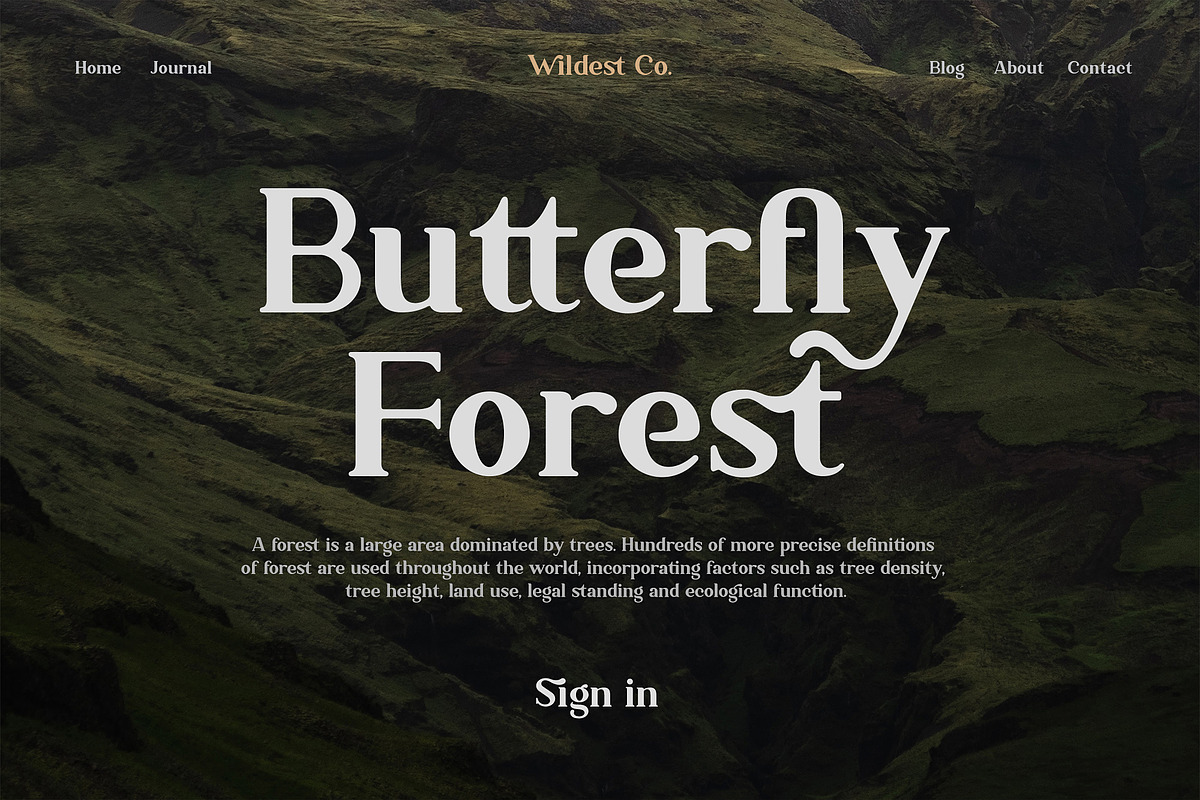 Ambigue Wild Modern x Vintage Serif preview 8