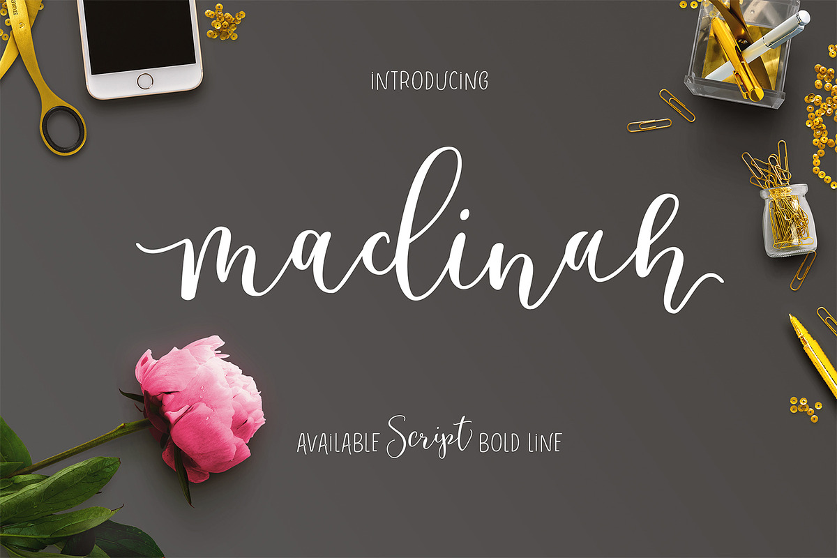 Calligrapher's  Font Bundle (98%Off), a Script Font by Genesis Lab (Photo 13 of 44)
