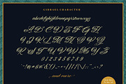 Gibrael, a Script Font by TRF Fonts (Thumbnail 6 of 9)