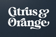 Magnilo Display, a Serif Font by Mulkan Nazir (Thumbnail 6 of 18)