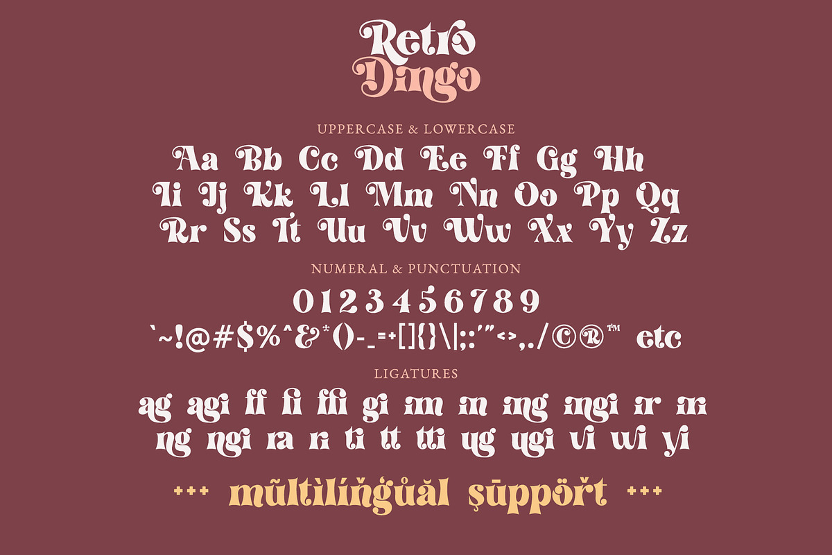 Retro Dingo - Modern Vintage Serif, a Serif Font by Airotype (Photo 10 of 12)