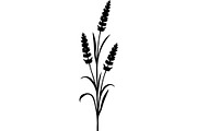 Decorative Tribal Feather Vector, an Object Graphic by Designer_Momina (Thumbnail 16 of 18)