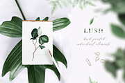 LUSH, chapter 2 Greenery Art Project, an Object Graphic by studioequinox (Thumbnail 5 of 14)