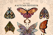 Autumn Moths & Dried Botanicals, an Animal Illustration by Ink Stories (Thumbnail 2 of 18)