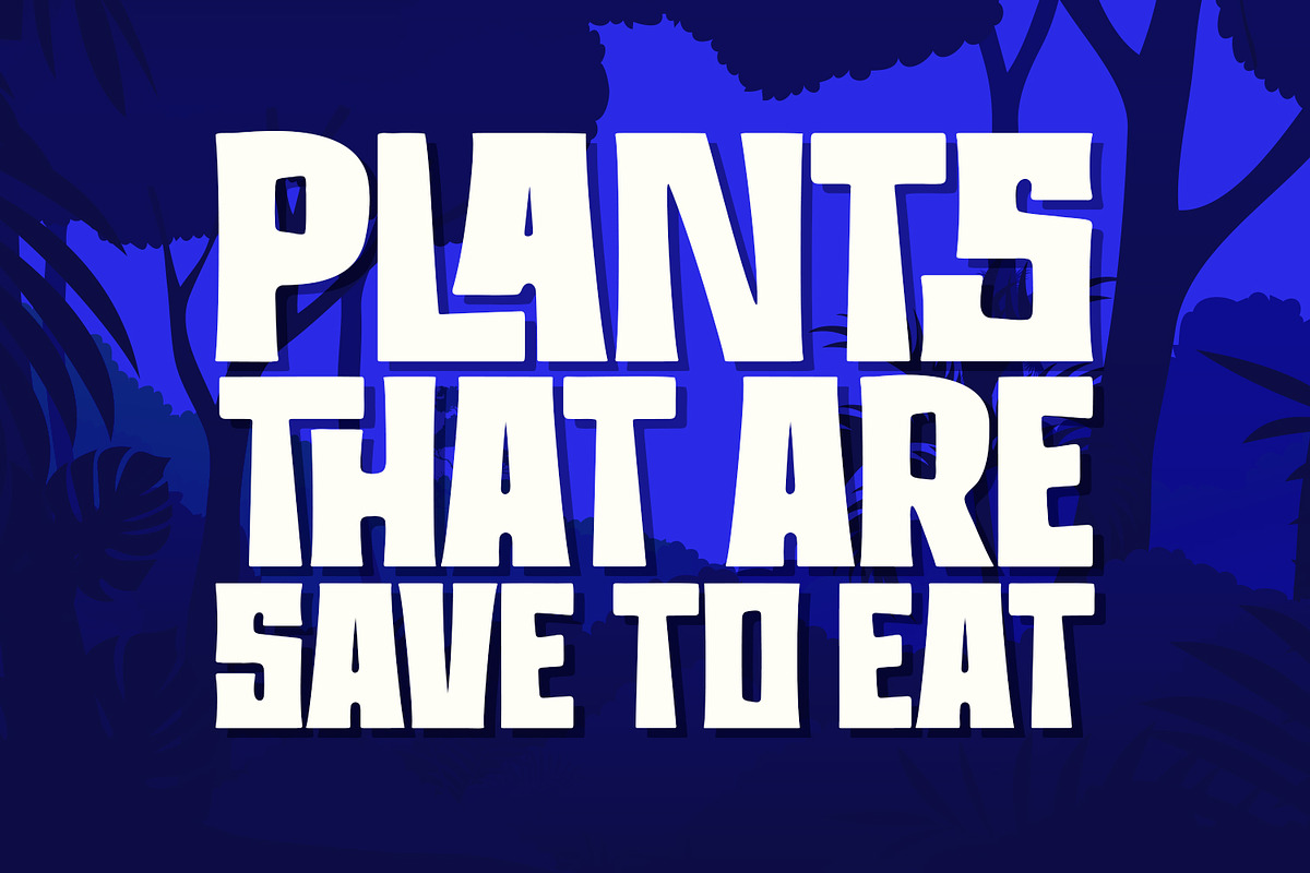 The Last Trunks – Adventure Font, a Sans Serif Font by Variatype (Photo 5 of 8)