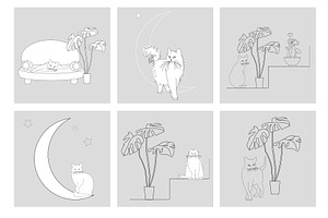 Elegant Cats Collection