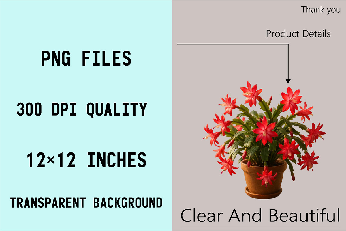 Watercolor Christmas Cactus Clipart, an Illustration by SVGArt (Photo 8 of 8)
