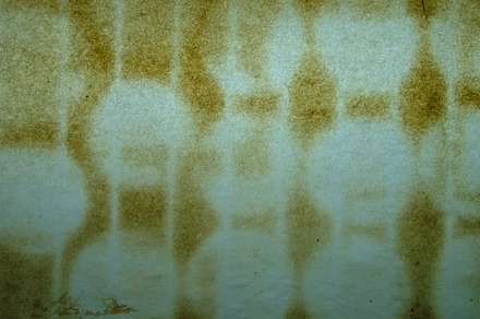 Dirty window containing dirty, window, and texture preview 6