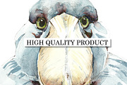 Watercolor Sketches Shoebill, an Animal Illustration by Budogoshch (Thumbnail 5 of 6)