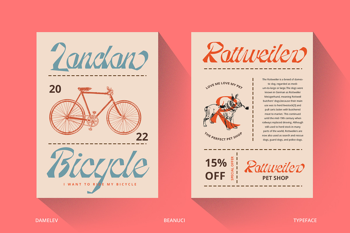 Beanuci, a Script Font by Damelev (Photo 3 of 13)
