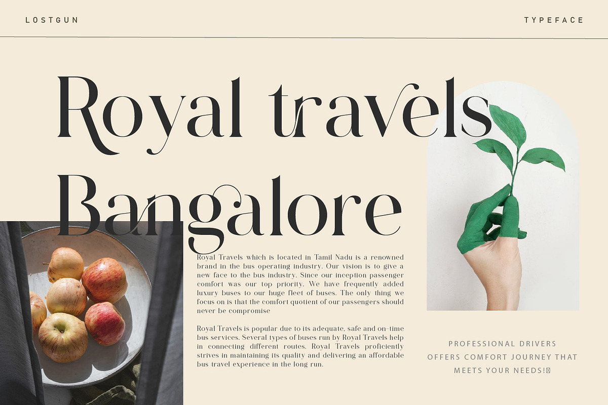 Lostgun | Discount 20%  OFF, a Serif Font by Qaratype (Photo 8 of 20)