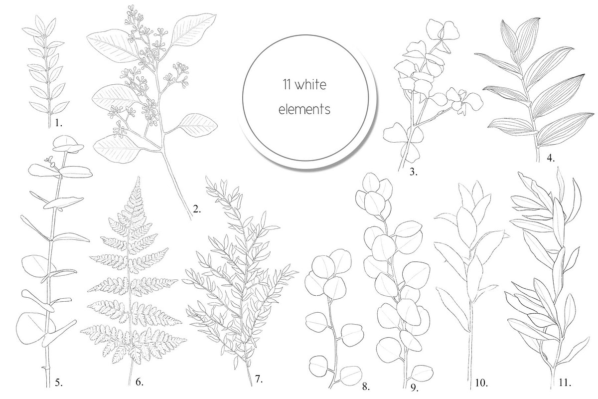 Fresh greenery frames and patterns, a Decorative Illustration by marie dricot (Photo 13 of 16)