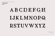 Charmini. Serif font family., a Serif Font by Luxfont (Thumbnail 8 of 12)