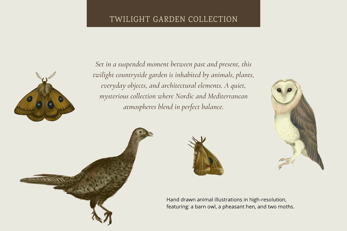 Twilight Garden Vintage Collection, a Decorative Illustration by StudioLapis (Photo 2 of 8)