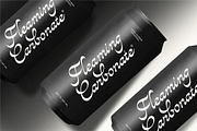 Avandgarde Modern Script, a Font by Swandtype (Thumbnail 7 of 10)