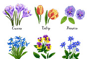 Spring flowers Color vector, a Decorative Illustration by irina.vaneeva (Thumbnail 2 of 4)