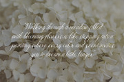 Montalina - Modern Script font, a Script Font by Rishsketch (Thumbnail 4 of 13)