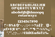Bogien Seralu Modern Retro Serif, a Serif Font by Letterena Studios (Thumbnail 13 of 15)