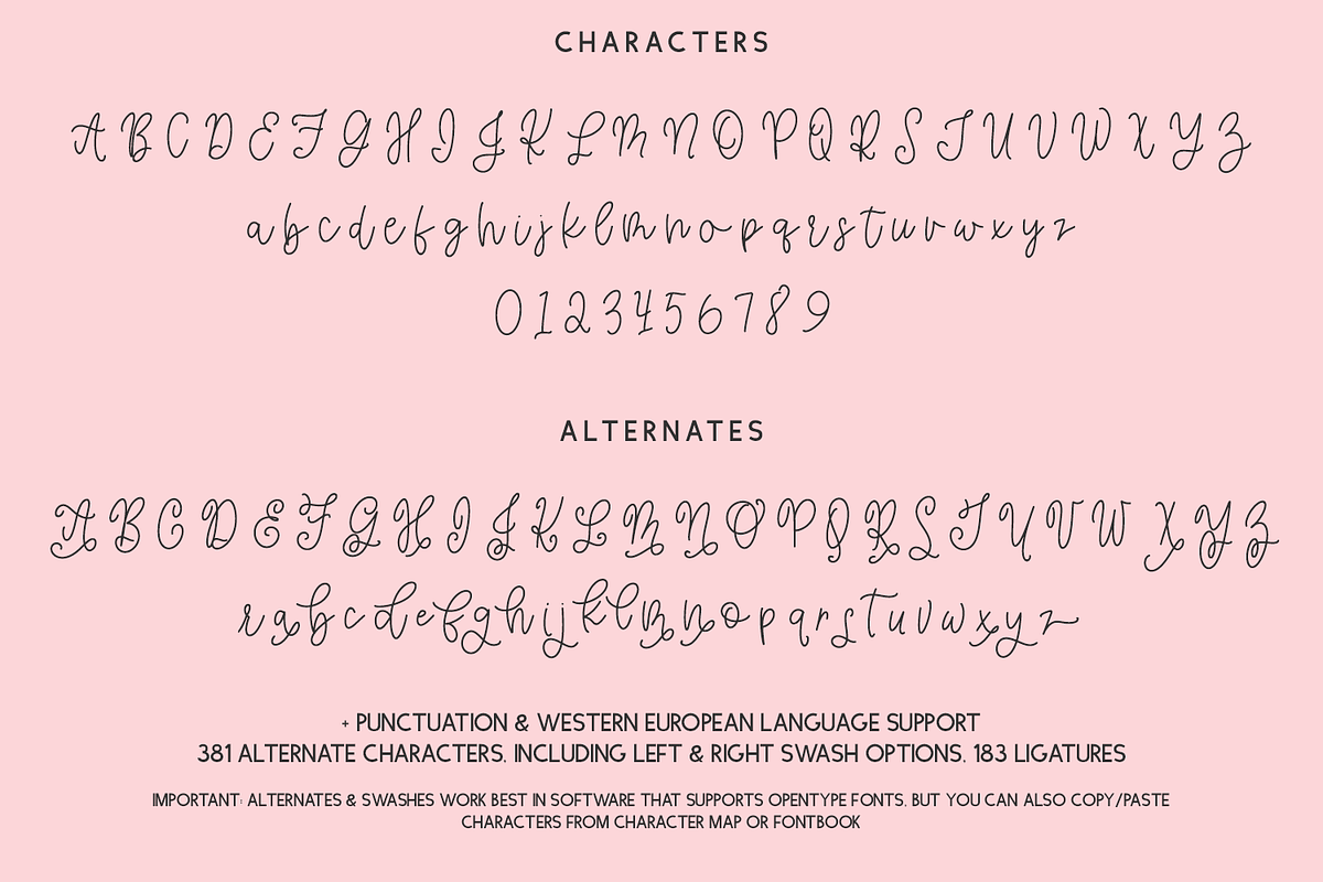 Honeybelle Calligraphy Script, a Script Font by Beck McCormick (Photo 10 of 10)