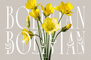 Broshock Typeface, a Serif Font by alit design (Thumbnail 5 of 20)