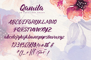 Qamila Brush Script